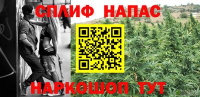 крисы Бийск