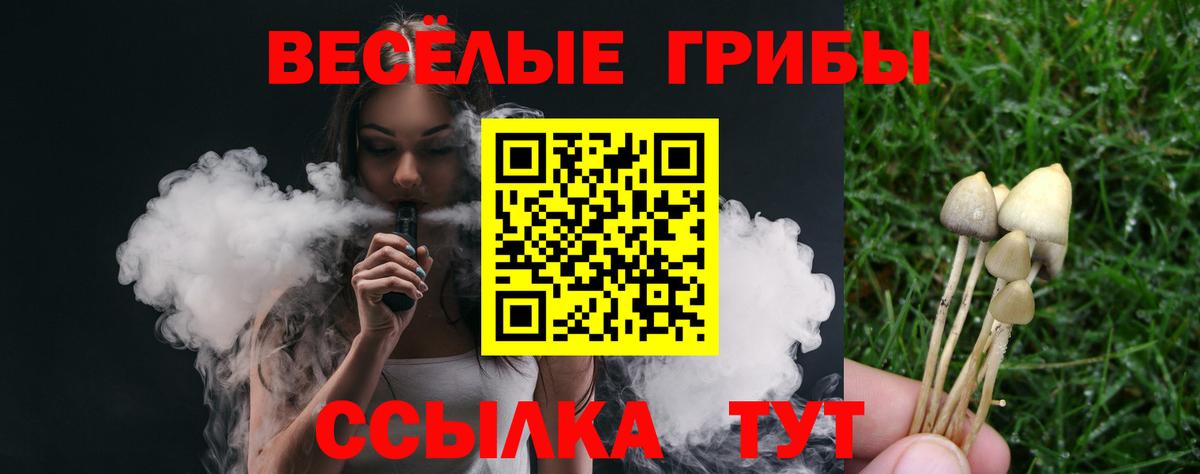 магазин    Галлюциногенные грибы ЛСД  Вход с VPN  Гай 